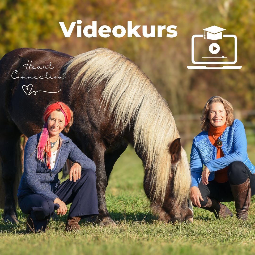 Online Pferdekurs Heart-Connection