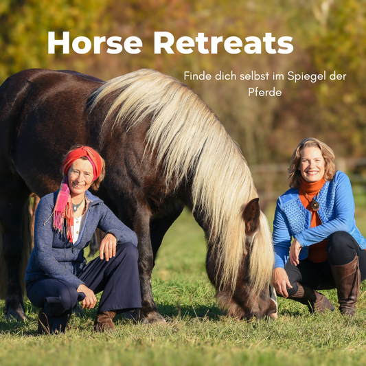 Frauenleuchten Retreat August