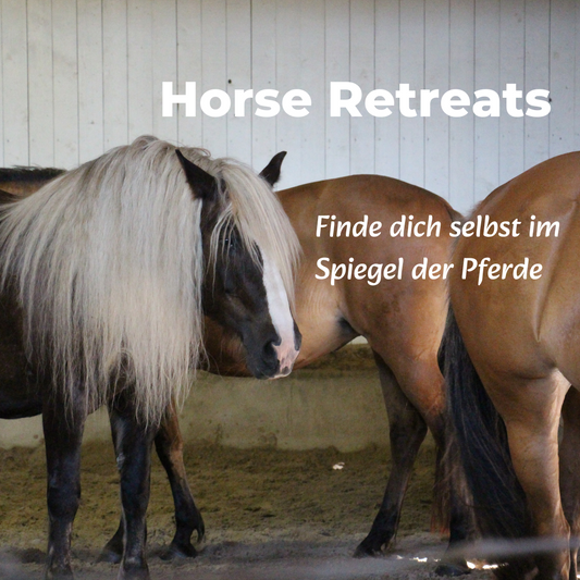 Frauenleuchten Retreat Juli