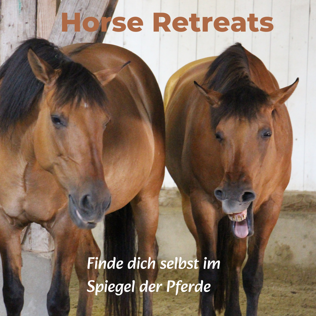 Frauenleuchten Retreat September